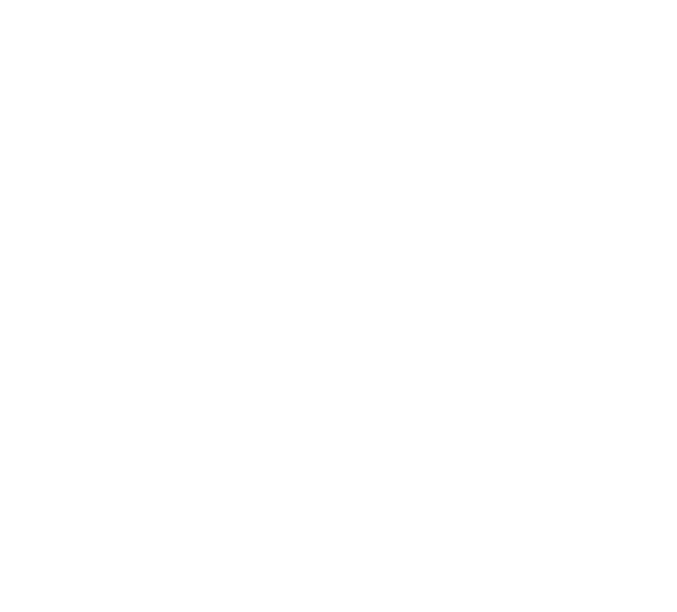 Rendezvous 2045